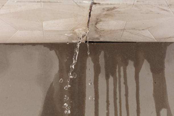 Professional Structural Drying technician working in Ferris, TX
